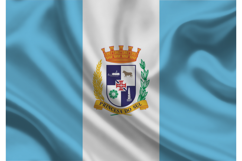 Pelotas