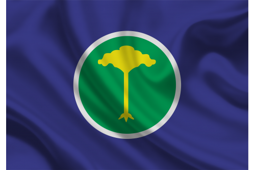 São Carlos