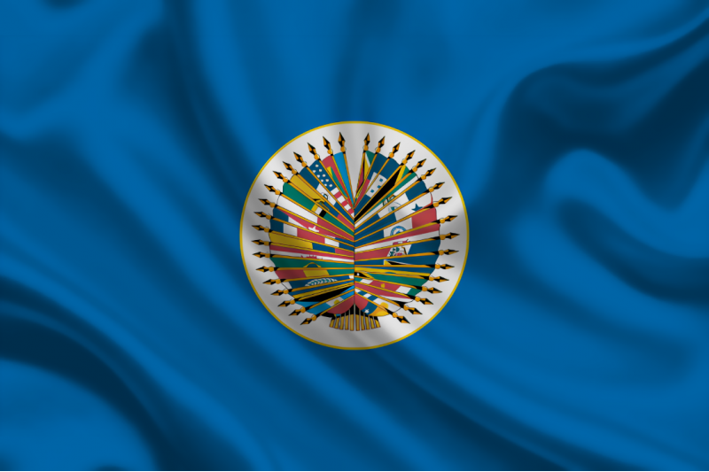 Organização dos Estados Americanos